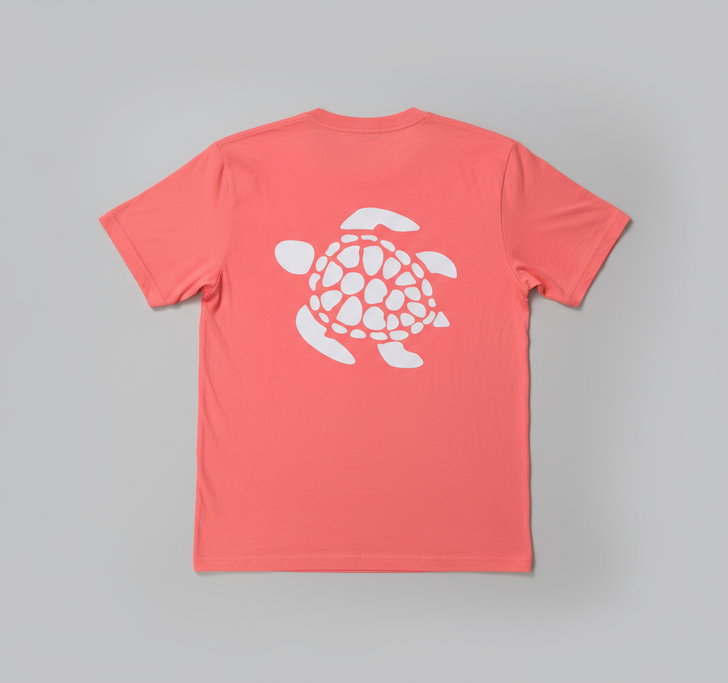 Turtle Time